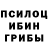 Псилоцибиновые грибы MAGIC MUSHROOMS B12A5 1o7